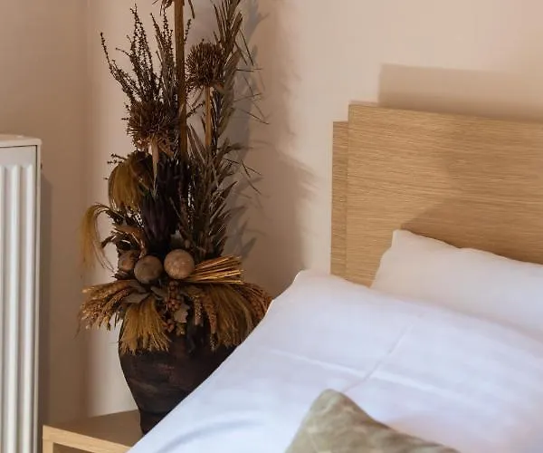 Luxury Rustic Mountain View